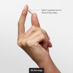 Thorne Bacillus Coagulans Probiotic - GI Health Support