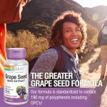 SOLARAY Grape Seed Extract 100mg for Cardiovascular Health