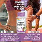 SOLARAY Berberine & Curcumin Root Extracts | Digestive Support