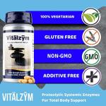 VITÄLZYM Systemic Enzymes for Joint and Immune Support