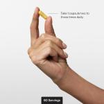 Liver Support - Silymarin, Artichoke, Turmeric Extracts - 60 Capsules