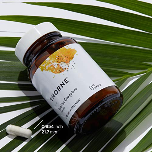 Thorne Bacillus Coagulans Probiotic - GI Health Support
