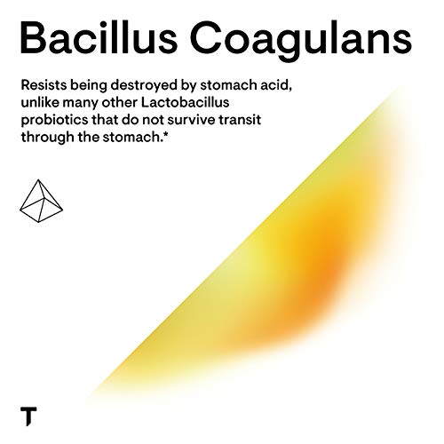 Thorne Bacillus Coagulans Probiotic - GI Health Support