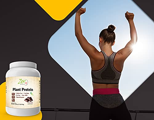 Zen Plant Protein - Chocolate 510G - 23g Protein