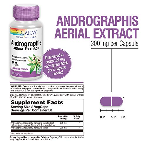 Solaray Andrographis Aerial Extract 600mg | Immune Support