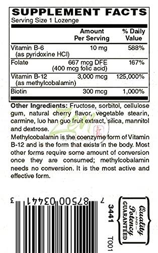 Methyl B-12 Supplement - Cardiovascular Support & More - 50 Lozenges