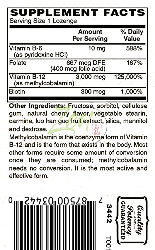 Vitamin B12 and Folic Acid for Optimal Health - 100 Lozenge