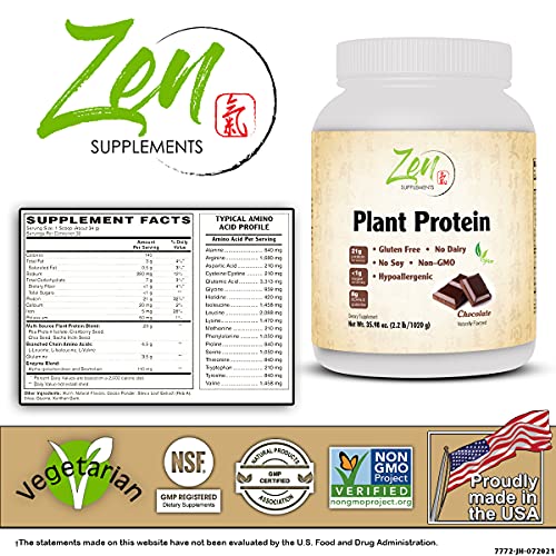 Zen Plant Protein: Chocolate - 23g Protein, Vegan