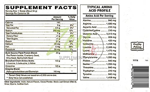 Zen Plant Protein: Chocolate - 23g Protein, Vegan