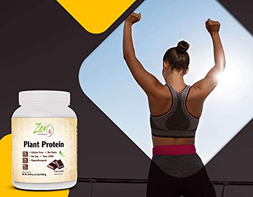 Zen Plant Protein: Chocolate - 23g Protein, Vegan