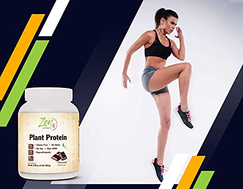 Zen Plant Protein: Chocolate - 23g Protein, Vegan