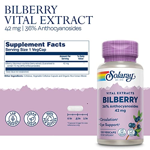 SOLARAY Bilberry Extract: Eye & Circulation Support, 120 VegCaps