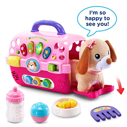 VTech Pink Learning Carrier for Kids