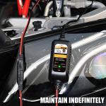 12V Automatic Battery Charger with Rescue Feature