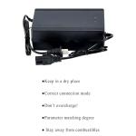 BtrPower 60V 5A E-Bike Battery Charger