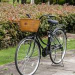 Rattan Front Bike Basket for Women - Retro Style