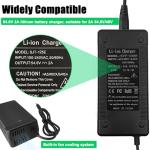 Universal 54.6V 2A Charger for 48V Electric Bikes