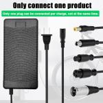 Universal 54.6V 2A Electric Bike Battery Charger