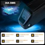 Hailong Electric Bike Battery with Fast Charger