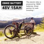 Hailong Electric Bike Battery with Fast Charger