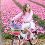 Kids' Rainbow Bike Basket for Front Handlebars