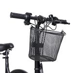 Jetson Electric Bike Front Iron Basket