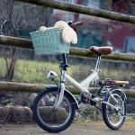 Granny Says Kids Bicycle Basket - Cyan