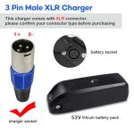 52V 4A Lithium Battery Charger for E-Bikes