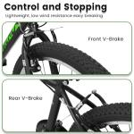 Ecarpat 26" Mountain Electric Bike for All Riders