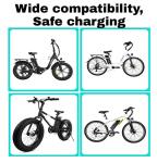 36V Electric Bike Charger for Various Models