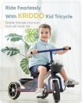 Blue Tricycle for Toddlers Ages 2-4 Years
