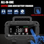 E-FAST 20A Smart Battery Charger for Vehicles
