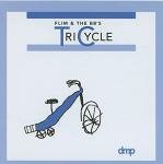 Electric Tricycle for Kids and Adults