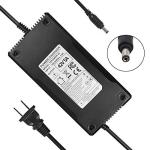 YZPOWER 42V 5A Charger for Electric Bikes