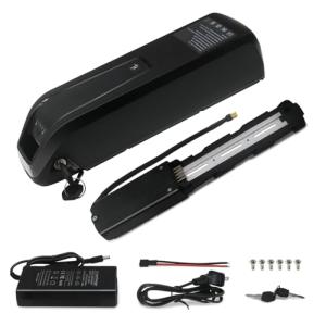 48V 10Ah Lithium Ebike Battery with Charger