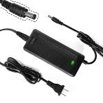 Universal 48V Electric Bike and Scooter Charger