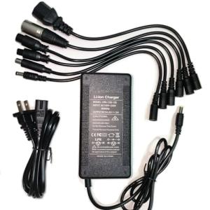 Universal Fast Charger for 48V Electric Bikes