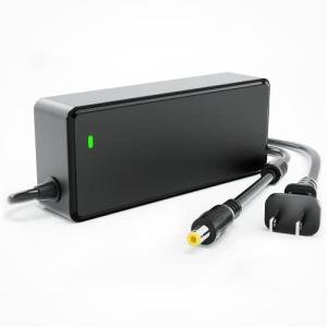 54.6V 2A eBike Charger for 48V Lithium Batteries