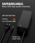 54.6V 2A eBike Charger for 48V Lithium Batteries
