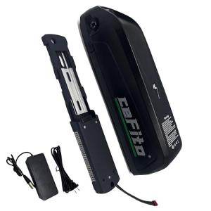 48V Lithium Ion Ebike Battery Pack with Charger