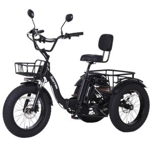NARRAK 750W Electric Tricycle with Fat Tires
