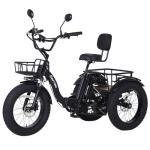 NARRAK 750W Electric Tricycle with Fat Tires