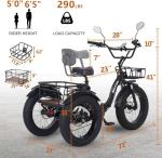 NARRAK 750W Electric Tricycle with Fat Tires