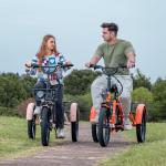 Folding Electric Trike for Adults with Basket