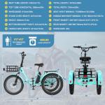 NAIZEA 20'' Fat Tire Electric Trike for Adults