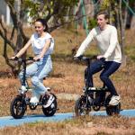 Isinwheel U1 Folding Electric Bike for Adults