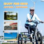 EMOJO Bull 8.5" Low Step Electric Trike