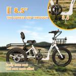 EMOJO Bull 8.5" Low Step Electric Trike