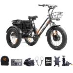 DWMEIGI 3 Wheel Electric Bike, 750W Motor, 48V