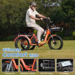 MOONCOOL 20" Folding Electric Trike for Adults